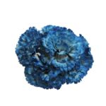 Flor clavel "Azul claro"