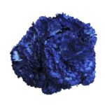 Flor clavel "Azul eléctrico"