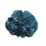 Flor clavel "Azul petróleo"