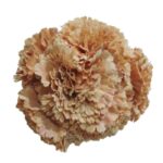 Flor Clavel "Beige envejecido"