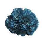 Flor Clavel "Celeste Ducado"
