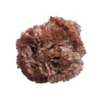 Flor Clavel "Rosa encarnado"