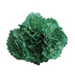 Flor Clavel "Verde Andalucía"
