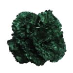 Flor Clavel "Verde Botella"