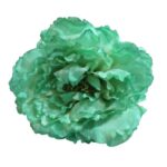 Flor Peonía Grande Abierta "Verde"